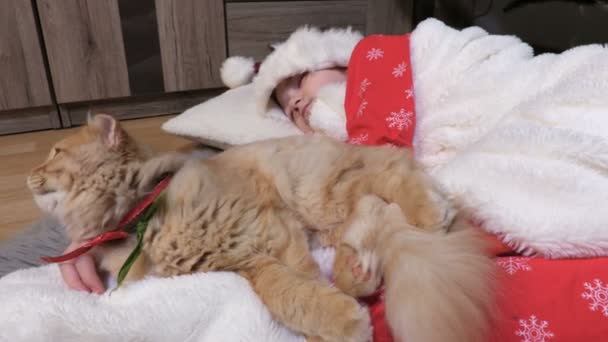 Niña Pajama Navidad Con Gato Quedó Dormida Cerca Del Árbol — Vídeo de stock