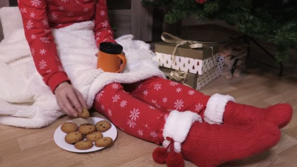 Female Christmas Pajama Knitted Socks Eating Santa Cookie — Stockvideo