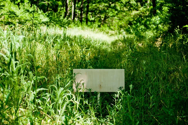 Dikdörtgen planlı ahşap plaka doğal yeşil çim çerçevede bir yerde duruyor