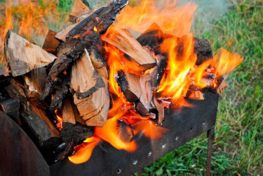 Parlak turuncu kırmızı ateş ateşin ortasına bir Barbekü yeşil çimenlerin üzerinde bir sıcak yaz günü barbekü Kebap bir arka plan üzerinde Ahşap ahşap günlükleri