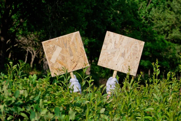 Beyaz eldiven garson elinde iki ahşap kare tabak ya da yeşil çalılar ve ağaçlar bir arka plan üzerinde bir tabela ahşap işareti bir yaz gününde tutun