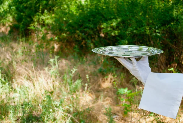 Garson bir beyaz eldiven ve beyaz peçete ile el Gümüş oval metal metal bir tepsi bir arka plan bulanık doğa yeşil çalılar ve ağaçlar üzerinde tutar.