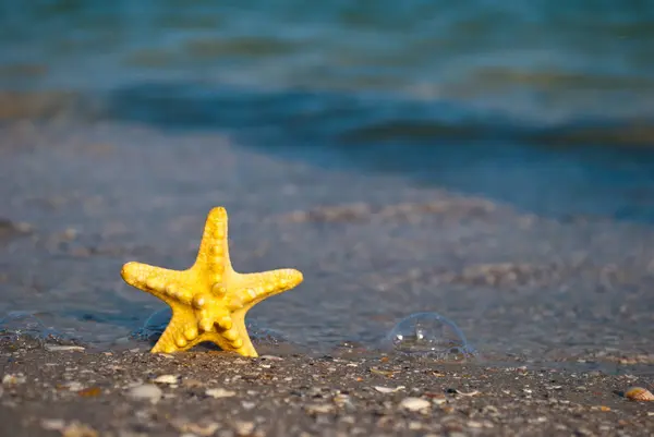 Beautiful Bright Yellow Starfish Sea Inhabitant Yellow Sand Background Blue — Stock Photo, Image