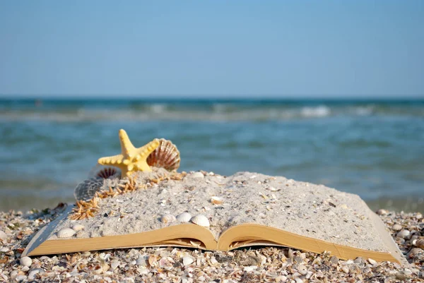 Libro Aperto Primo Piano Trova Conchiglie Sabbia Gialla Mare Stella — Foto Stock