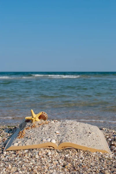 Libro Aperto Primo Piano Trova Conchiglie Sabbia Gialla Mare Stella — Foto Stock