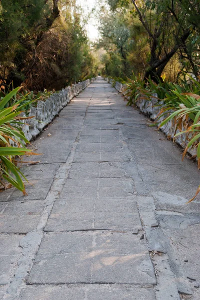 The long path is a path made of stone large tiles, among the greenery of bushes and trees, past a fence of white curly tiles, a summer sun vacation