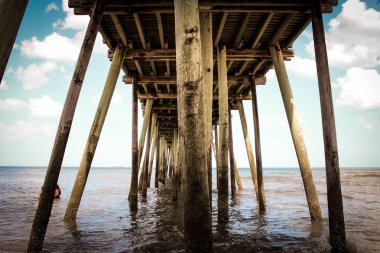 Virginia Beach iskelesinden altında güneşli gün