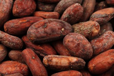 Bütün kakao çekirdekleri makroda