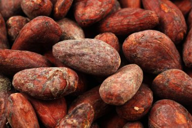 Bütün kakao çekirdekleri makroda
