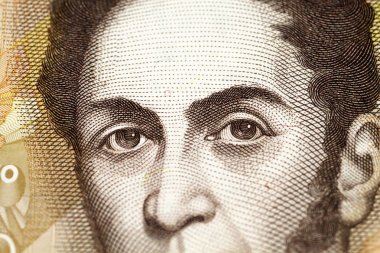 Venezuela para birimi yakın çekim