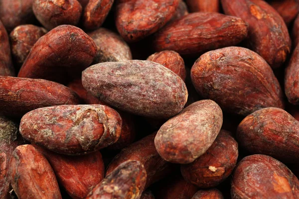 Bütün kakao çekirdekleri makroda