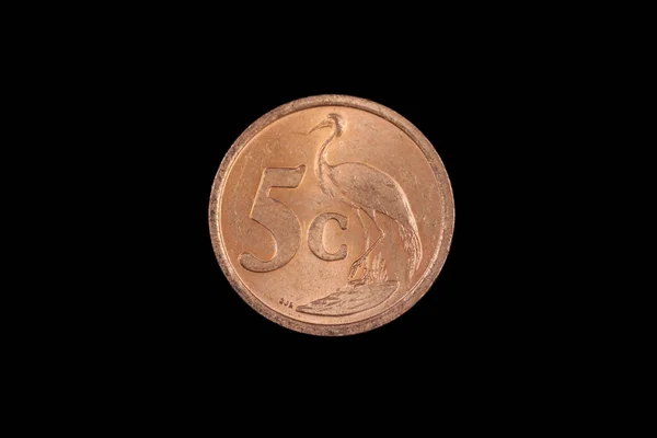 黒い背景を背景に撮影された 銅色の南アフリカの5セント硬貨のクローズアップ マクロ画像 — ストック写真