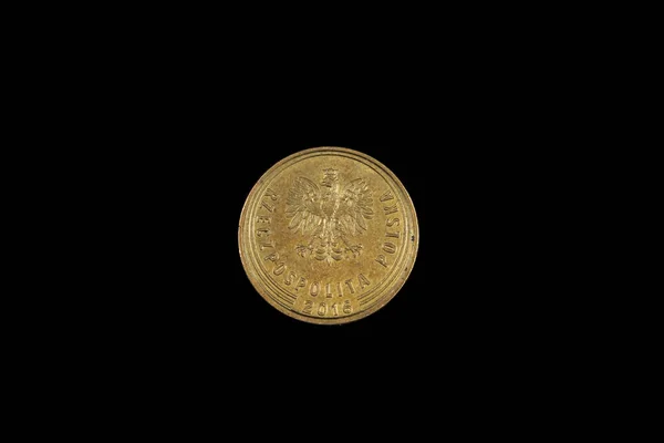 Ένα Παλιό Χρυσό Πολωνικό Νόμισμα Grosz Τραβηγμένο Κοντά Μακροεντολή Μαύρο — Φωτογραφία Αρχείου