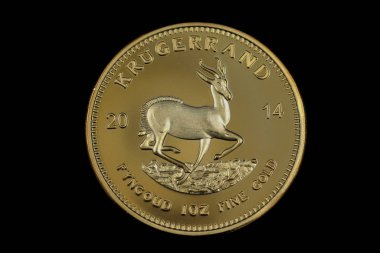 Yakın plan, Güney Afrika Krugerrand 'ının siyah arka planda izole edilmiş makro görüntüsü.
