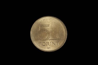 Bir Macar beş forint sikkesi, siyah bir arka plana karşı makroda yakın çekim.