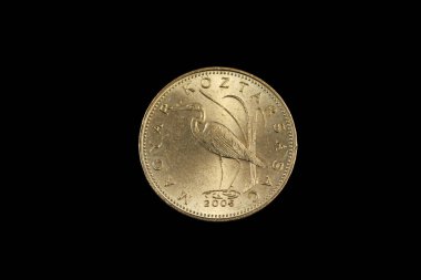 Bir Macar beş forint sikkesi, siyah bir arka plana karşı makroda yakın çekim.