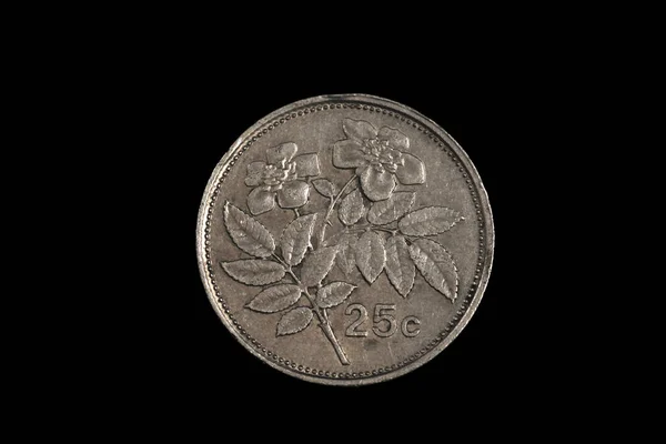 Close Image Old Maltese Twenty Five Cent Coin Shot Macro — Stockfoto