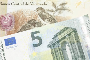 Venezuela 'dan 100 Bolivar banknotu ve makroda Avrupa Birliği Avro Bölgesi' nden 5 Euro.