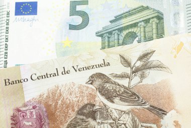 Venezuela 'dan 100 Bolivar banknotu ve makroda Avrupa Birliği Avro Bölgesi' nden 5 Euro.