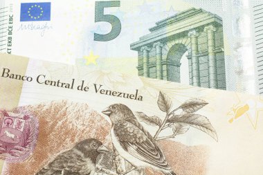 Venezuela 'dan 100 Bolivar banknotu ve makroda Avrupa Birliği Avro Bölgesi' nden 5 Euro.