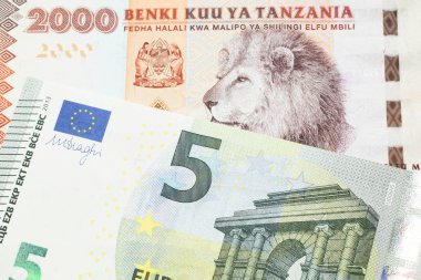 Avrupa Merkez Bankası 'nın makrodaki mavi ve yeşil banknotuyla birlikte iki bin Tanzanya şilini içeren turuncu ve beyaz bir banknot