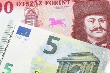Kırmızı, yüz Macar forint banknotunun yakın plan görüntüsü. Kapanışı, Almanya 'dan makroda mavi ve yeşil beş avroluk banknotla yapılmış.