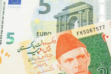 Turuncu ve yeşil 20 Pakistan Rupisi ve makroda 5 Euro 'luk banknot.