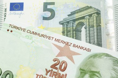 Kırmızı, sarı ve yeşil bir Türk banknotunun yakın plan görüntüsü, makroda beş avroluk Alman banknotuyla birlikte yirmi Türk lirası.