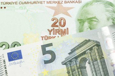 Kırmızı, sarı ve yeşil bir Türk banknotunun yakın plan görüntüsü, makroda beş avroluk Alman banknotuyla birlikte yirmi Türk lirası.