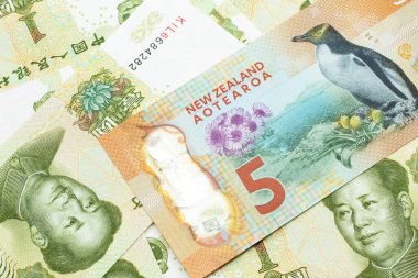 Yeni Zelanda 5 dolarlık banknotun yakın plan görüntüsü. Üzerinde Çin malı 1 yuan banknotlar var.