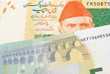 Turuncu ve yeşil. 20 Pakistan rupi. Kırmızı banknot. Makro banknot olarak 55 Euro.
