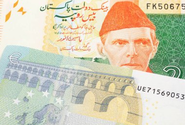 Turuncu ve yeşil. 20 Pakistan rupi. Kırmızı banknot. Makro banknot olarak 55 Euro.