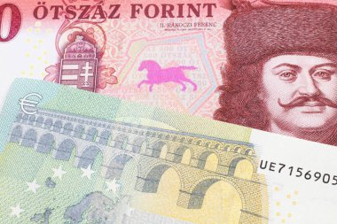 Kırmızı, yüz Macar forint banknotunun yakın plan görüntüsü. Kapanışı, Almanya 'dan makroda mavi ve yeşil beş avroluk banknotla yapılmış.