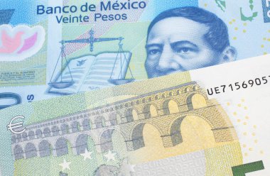 Avrupa Birliği 'nden 5 avroluk banknotla makroda çekilmiş 20 Meksika pesosu.