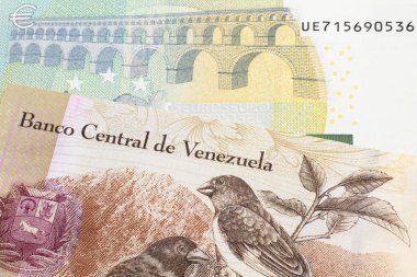 Venezuela 'dan 100 Bolivar banknotu ve makroda Avrupa Birliği Avro Bölgesi' nden 5 Euro.
