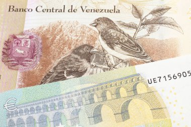 Venezuela 'dan 100 Bolivar banknotu ve makroda Avrupa Birliği Avro Bölgesi' nden 5 Euro.