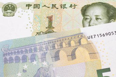 Avrupa Birliği Avro Bölgesi 'nden gelen beş avroluk banknotun yakın plan resmi ve Çin Halk Cumhuriyeti' nden bir yuan banknot.
