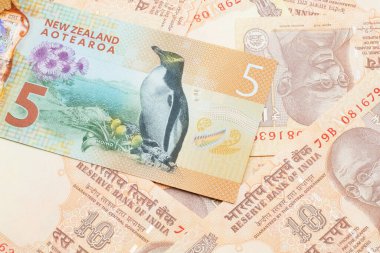 Yeni Zelanda 5 dolarlık banknotun yakın plan görüntüsü. Üzerinde Hindistan 10 rupilik makro banknotlar var.