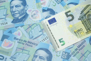 Avrupa 'dan makroda çekilmiş beş avroluk banknotun yakın plan resmi. Meksika' da 20 pezoluk banknotla dolu bir yatak.