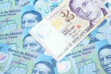 Singapur 'dan gelen iki dolarlık banknotun Meksika 20 pesosuyla yakın plan görüntüsü.