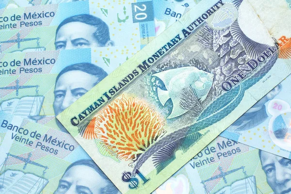 Zbliżenie Wizerunek Barwnego Kajmanów Dolara Banknotu Łożem Meksykańskich Dwudziestu Peso — Zdjęcie stockowe