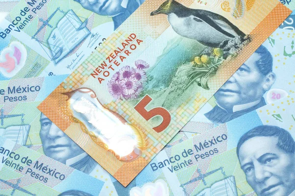 Una Imagen Cerca Billete Cinco Dólares Nueva Zelanda Con Billetes —  Fotos de Stock