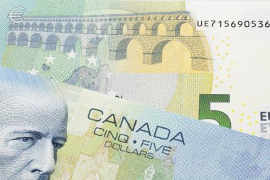 Beş avroluk mavi bir Kanada dolarının makro çekimi.