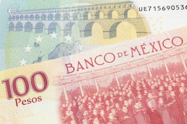 Avrupa Birliği 'nden gelen beş avroluk banknotla makroda çekilmiş 100 Meksika pesosu.
