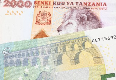 Avrupa Merkez Bankası 'nın makrodaki mavi ve yeşil banknotuyla birlikte iki bin Tanzanya şilini içeren turuncu ve beyaz bir banknot