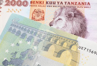 Avrupa Merkez Bankası 'nın makrodaki mavi ve yeşil banknotuyla birlikte iki bin Tanzanya şilini içeren turuncu ve beyaz bir banknot