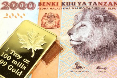 Tanzanya 'dan iki bin şilinlik altın külçeli renkli bir makro resim. Yakın çekim..