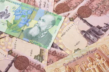 Mısırlı bir banknotun arka planında yeşil bir Romen banknotunun yakın plan görüntüsü
