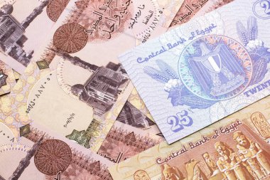 Mısırlı 25 kuruşluk banknotun yakın plan görüntüsü. Üzerinde 1 pound 'luk makro banknotlar var.