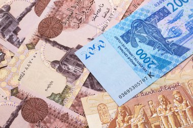 Bir Mısır banknotunun arka planında makroyla çekilmiş mavi, iki bin Batı Afrika frankı banknotunun yakın plan görüntüsü.